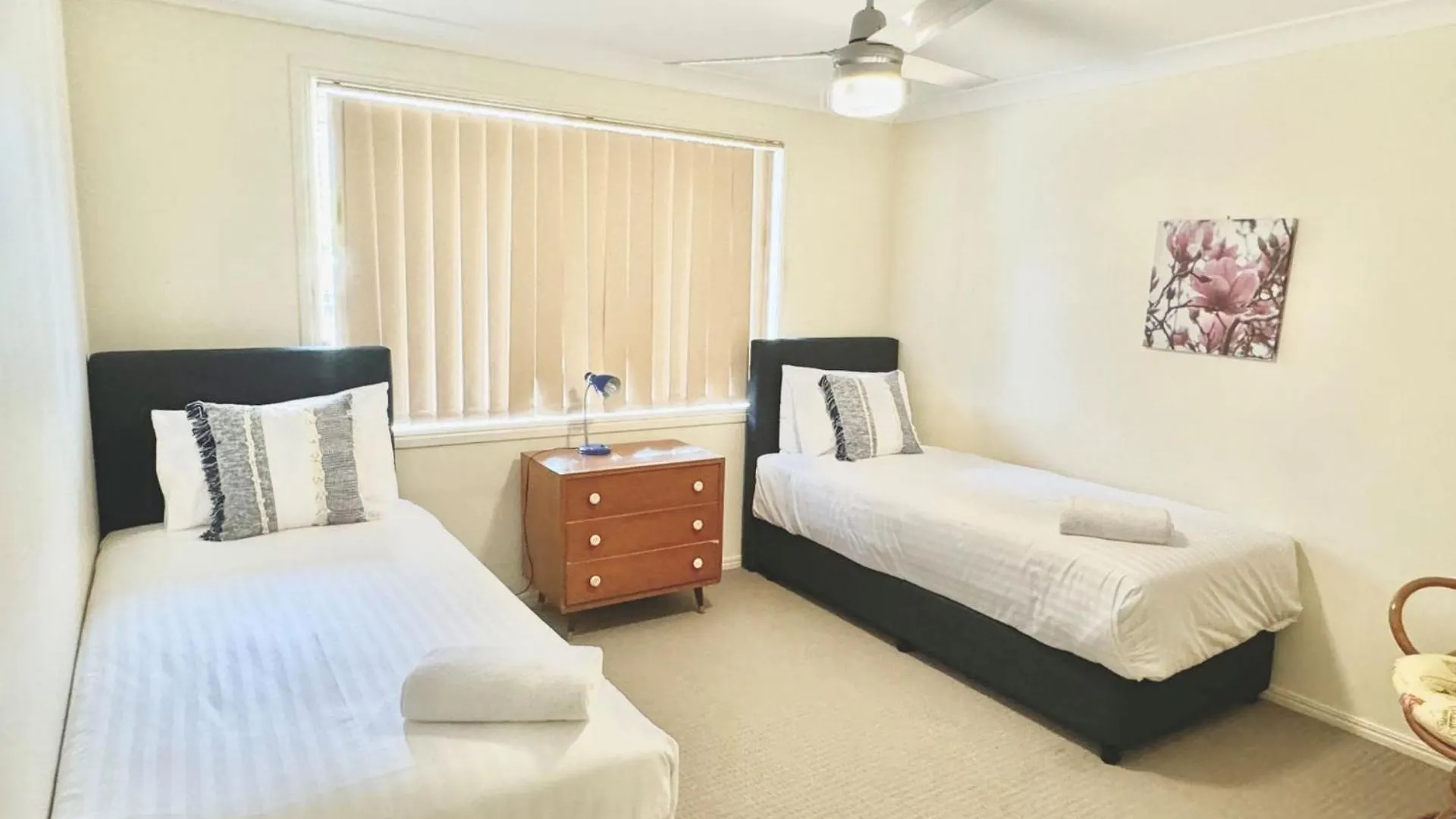 Daintree House, Lennox Head Villa Australia